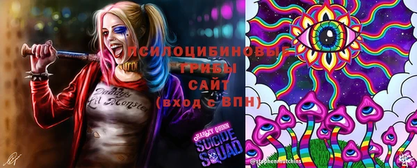 гидропоника Богородск