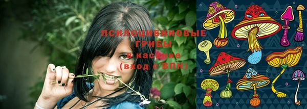 MDMA Богданович