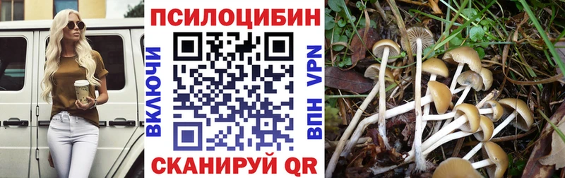 Галлюциногенные грибы GOLDEN TEACHER  Купить закладки  Салехард 