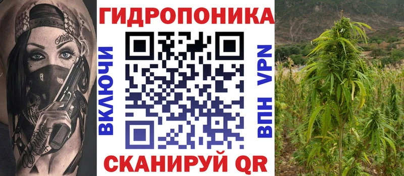 Купить где  Салехард  Бошки марихуана OG Kush 